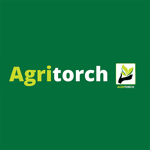 Conception du site Agritorch