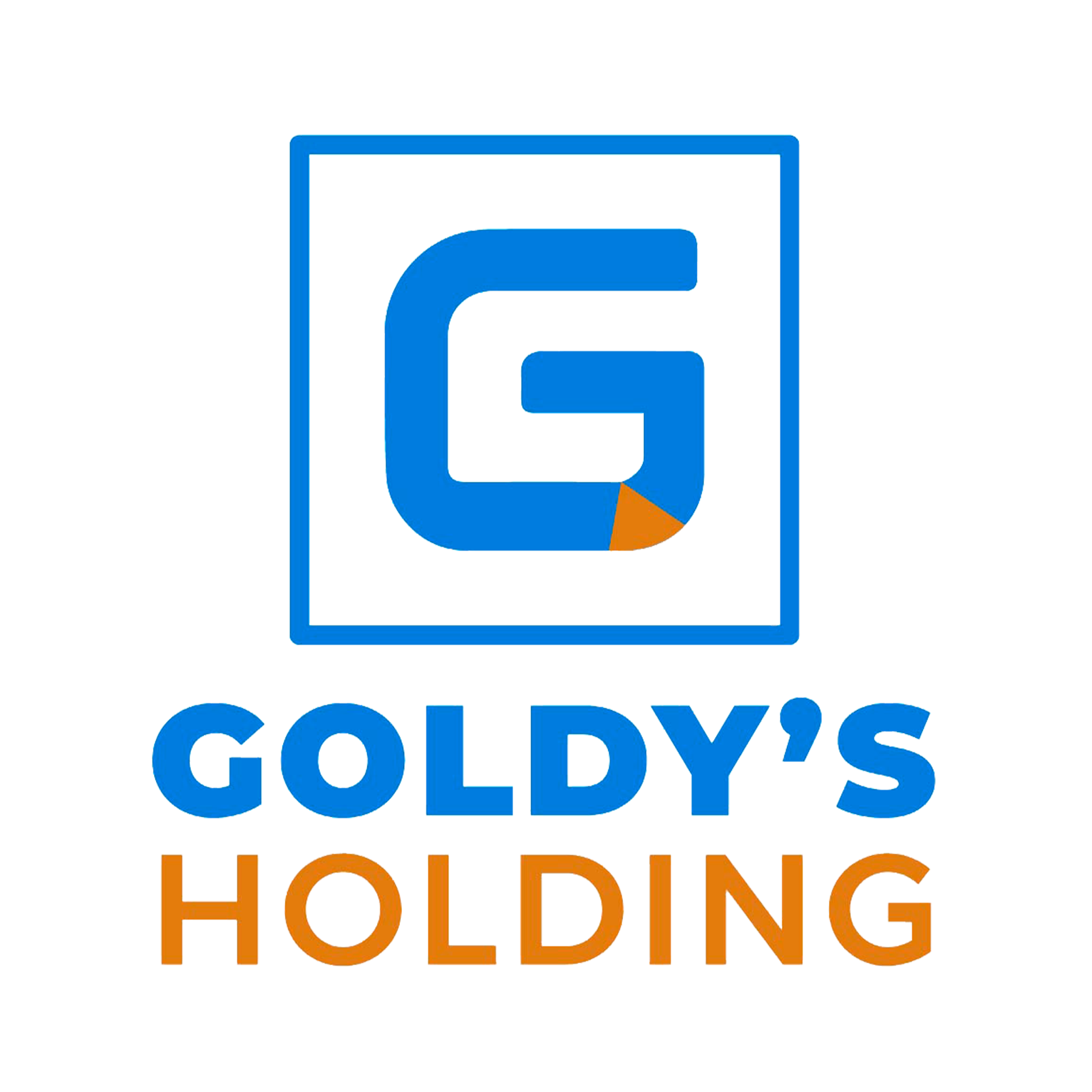 Conception du site Goldy’s Holding